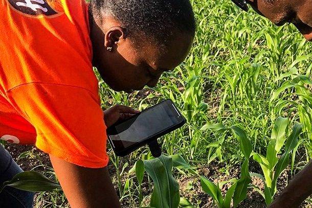 Managing a community health supply chain on a mobile phone in Malawi