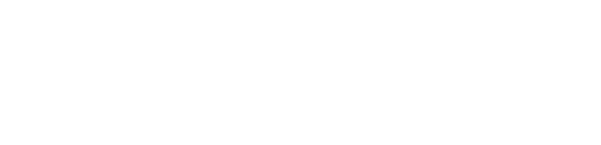 CommCare by Dimagi logo, white