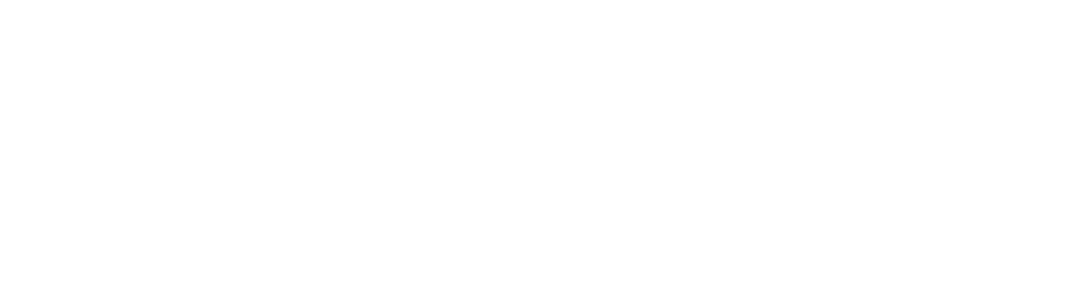 Connect by Dimagi logo, white